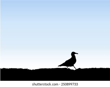 Vector background. Silhouette of bird (gull). Blue sky. Eps 10.
