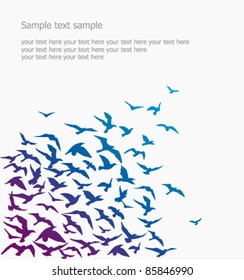 Vector background. a silhouette of a birds' flock