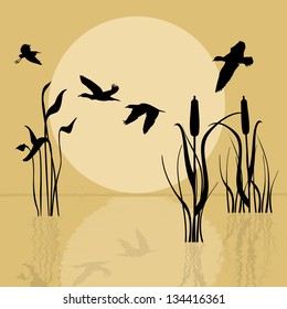 Vector background with silhouette flying birds over lake at sunset