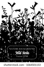 Vector background with silhouette of wild plants, herbs and flowers, botanical illustration, natural floral template
