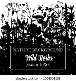 Vector background with silhouette of wild plants, herbs and flowers, botanical illustration, natural floral template