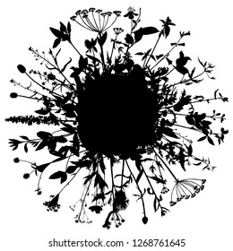 Vector background with silhouette of wild plants, herbs and flowers, botanical illustration, natural floral template
