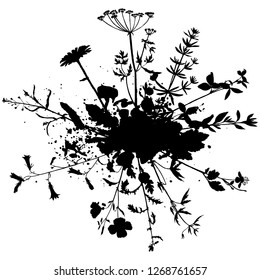 Vector background with silhouette of wild plants, herbs and flowers, botanical illustration, natural floral template