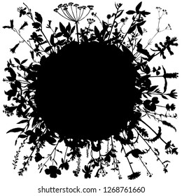 Vector background with silhouette of wild plants, herbs and flowers, botanical illustration, natural floral template