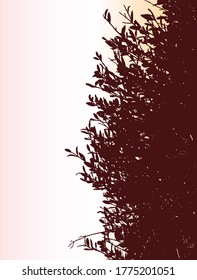 Vector background with silhouettes deciduous tree branches in autumn