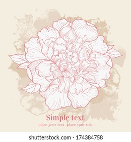 Vector background with single peony. Hand drawn  illustration.  