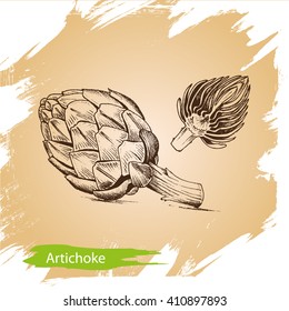 Vector background, sketch artichoke.
Illustration of vegetable.