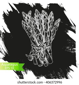Vector background, sketch asparagus.
Illustration of vegetable.