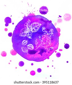 Vector background sketch Basil, thyme.