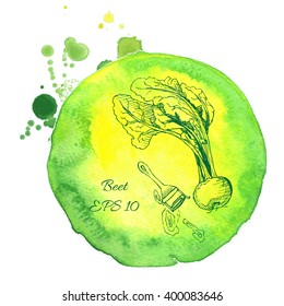 Vector background sketch Beet