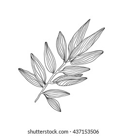 Vector background with sketch botanical branche isolated on white