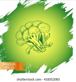 Vector background sketch broccoli.
Illustration vegetable.