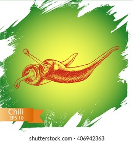 Vector background sketch chili.
Chili pepper.