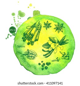 Vector background sketch cinnamon, vanilla, star anis, clove, cardamom.
Illustration spices.