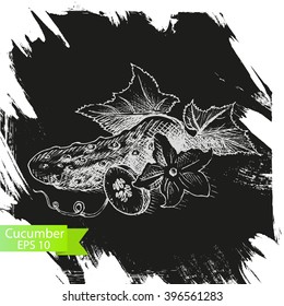 Vector background sketch cucumber, pickle, gherkin.