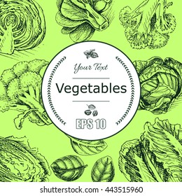 Vector background sketch fresh vegetables.
Illustration broccoli, cabbage, basil, lettuce, herbs.