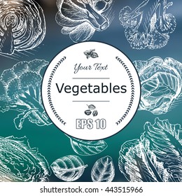 Vector background sketch fresh vegetables.
Illustration broccoli, cabbage, basil, lettuce, herbs.