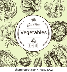 Vector background sketch fresh vegetables.
Illustration broccoli, cabbage, basil, lettuce, herbs.