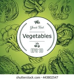 Vector background sketch fresh vegetables.
Illustration broccoli, cabbage, basil, lettuce, herbs.