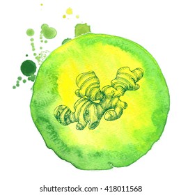 Vector background, sketch ginger.
Illustration of spices.