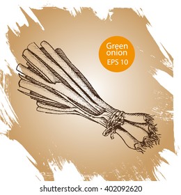 Vector background sketch green onion.
Illustration vegetable.