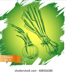 Vector background sketch green onion.
Illustration vegetable.