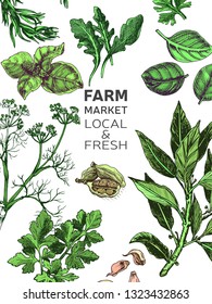 Vector background sketch herbs.
Herbs - Bay leaf, dill, thyme, sage, rosemary, Basil, parsley, arugula
Card herbs.