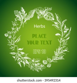 Vector background sketch herbs.
Herbs - Bay leaf, dill, thyme, sage, rosemary, Basil, parsley, arugula