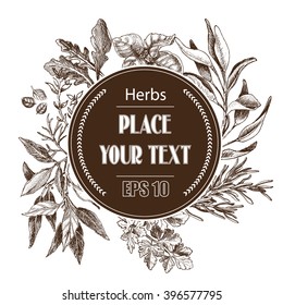 Vector background sketch herbs.
Herbs - Bay leaf, dill, thyme, sage, rosemary, Basil, parsley, arugula