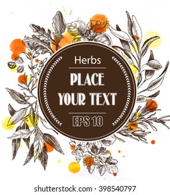 Vector background sketch herbs.
Herbs - Bay leaf, dill, thyme, sage, rosemary, Basil, parsley, arugula.
