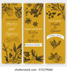 Vector background sketch herbs.
Card - Bay leaf, sage, arugula, nutmeg, pepper, vanilla, ginger, cardamom, cinnamon, clove

