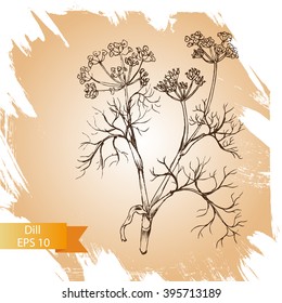Vector background sketch herbs - dill.