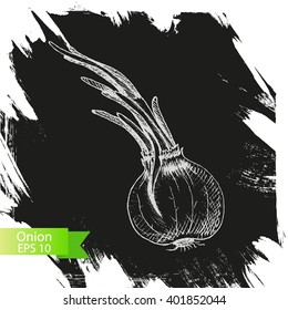 Vector background sketch onion.
Illustration vegetables.
