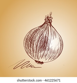 Vector background sketch onion. Illustration vegetable.