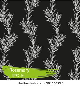 Vector background sketch rosemary.
Chalk Board herb rosemary.