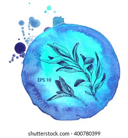 Vector the background, sketch the sage.
Illustration of sage.