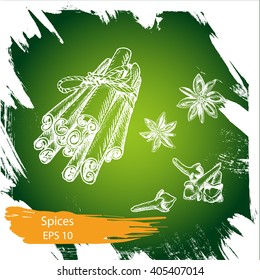 Vector background sketch spices.
Illustration clove, cinnamon, anise.