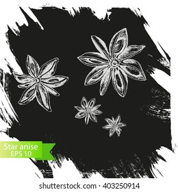 Vector background sketch star anis.
Illustration spices.