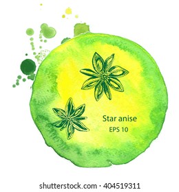 Vector background sketch star anis.
Watercolor illustration spices.