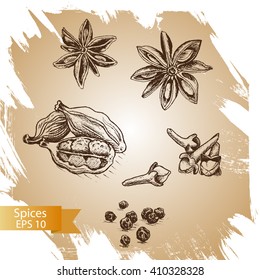 Vector background sketch star anis, clove, cardamom.
Illustration spices.