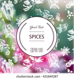Vector background sketch star anis, clove, cardamom, vanilla, cinnamon, garlic, ginger, chili pepper.
Pattern spices.