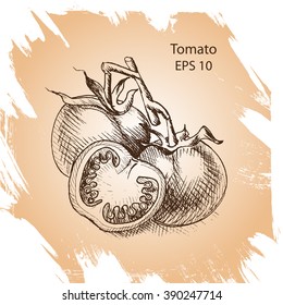 Vector background sketch of the tomato.
tomatoes.