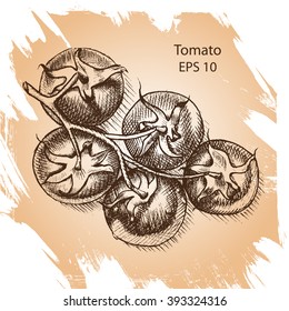 Vector background sketch of the tomato.
tomatoes.
