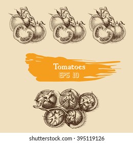 Vector background sketch of the tomato.
tomatoes.