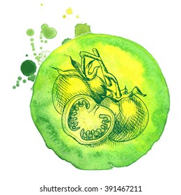 Vector background sketch of the tomato.
watercolor tomatoes.