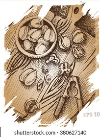 Vector background , sketch , walnuts