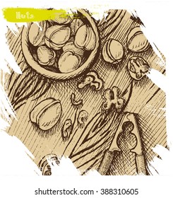 Vector background, sketch, walnuts.