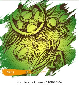 Vector background, sketch, walnuts.