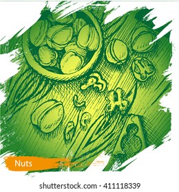 Vector background, sketch, walnuts.