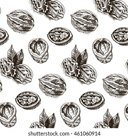 Vector background sketch walnuts.